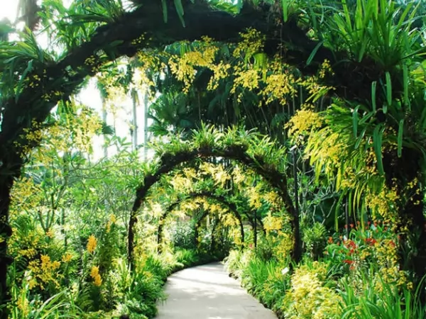 حدائق سنغافورة النباتية من اجمل اماكن سياحية في سنغافورة