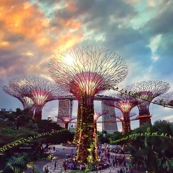 حدائق الخليج من اجمل اماكن سياحية في سنغافورة