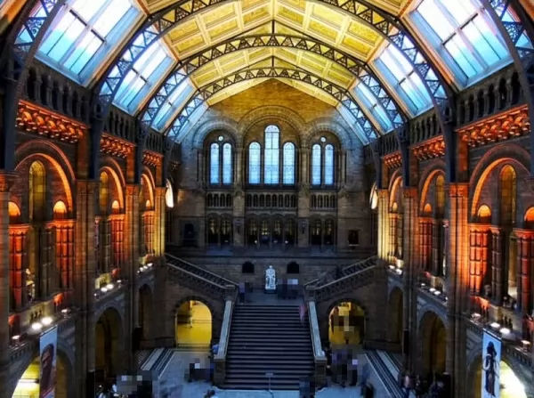 متحف التاريخ الطبيعي من اجمل اماكن سياحية في بريطانيا