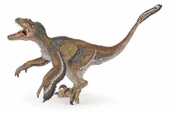 ديناصور فيلوسيرابتور