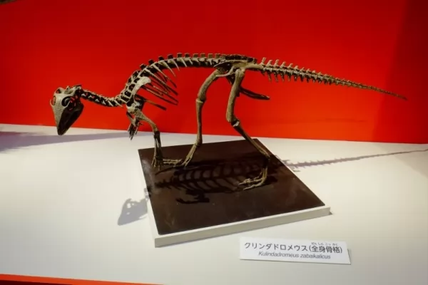 كوليندادروموس من أغرب الديناصورات