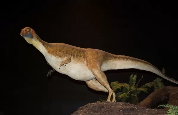 أوريكتودروموس من أغرب الديناصورات