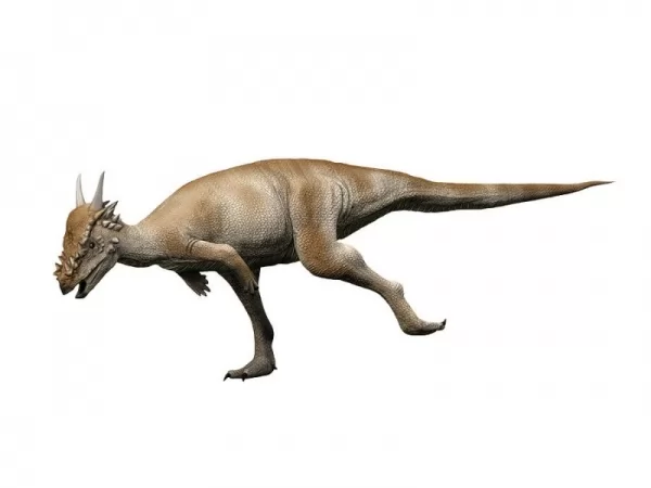 ستيجيمولوك من أغرب الديناصورات