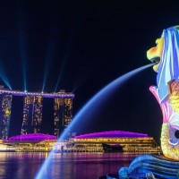 أهم عادات وتقاليد سنغافورة، تعرف عليها بالصور والفيديو