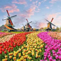 عادات الزواج في هولندا، وثقافة هذا البلد الأوروبي الجميل